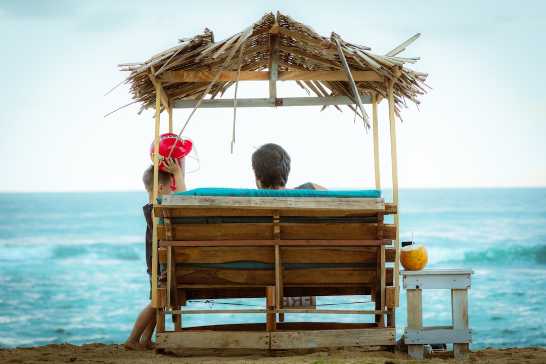 onlinetravelerusassis