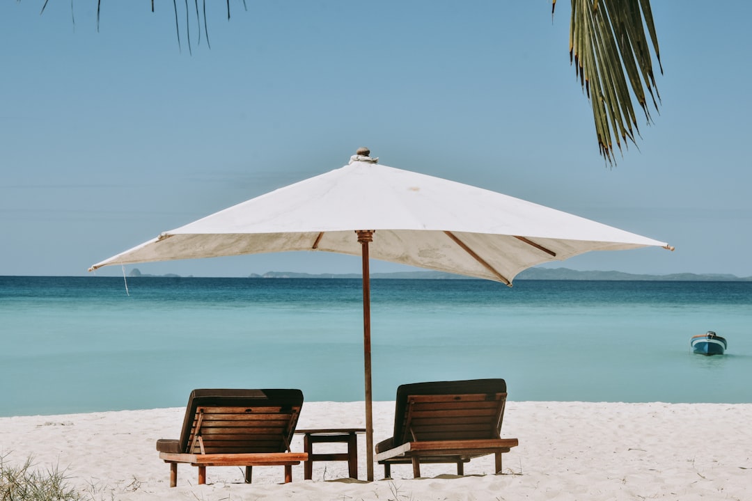 onlinetravelerusassis